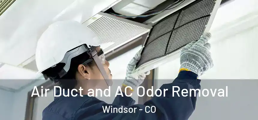  Air Duct and AC Odor Removal Windsor - CO