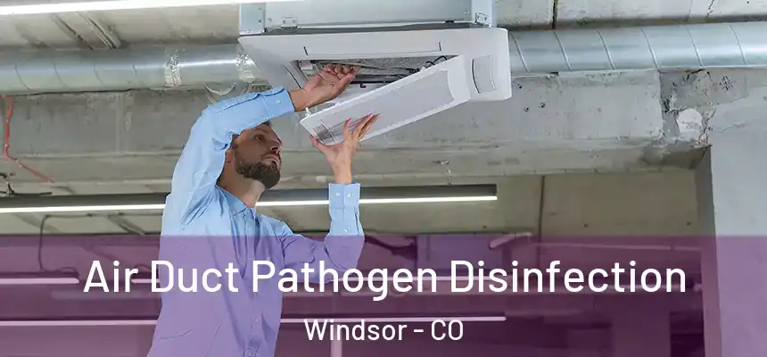 Air Duct Pathogen Disinfection Windsor - CO