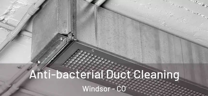  Anti-bacterial Duct Cleaning Windsor - CO