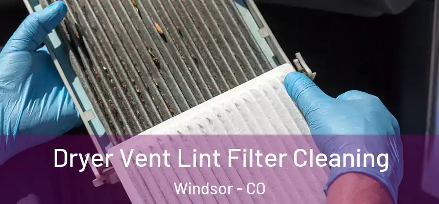  Dryer Vent Lint Filter Cleaning Windsor - CO