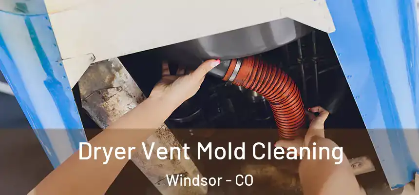  Dryer Vent Mold Cleaning Windsor - CO