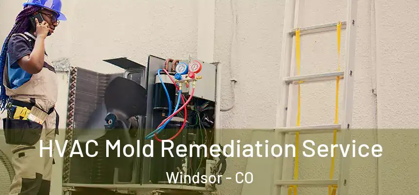  HVAC Mold Remediation Service Windsor - CO
