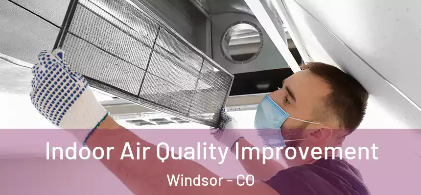 Indoor Air Quality Improvement Windsor - CO