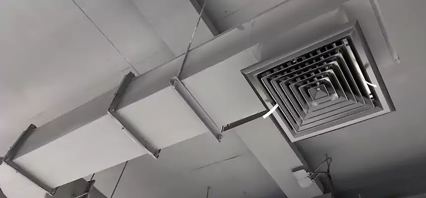 Our Pest Removal From Ducts Services in Windsor, CO