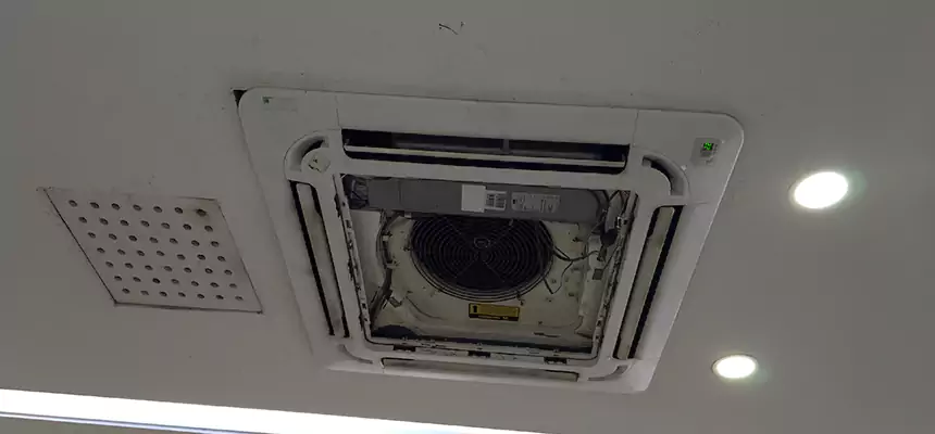 Our Wall Vent Cleaning Service Services in Windsor, CO