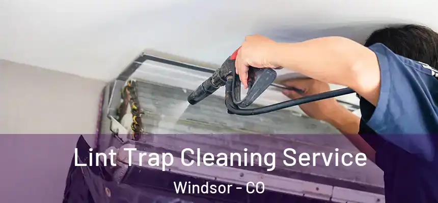  Lint Trap Cleaning Service Windsor - CO