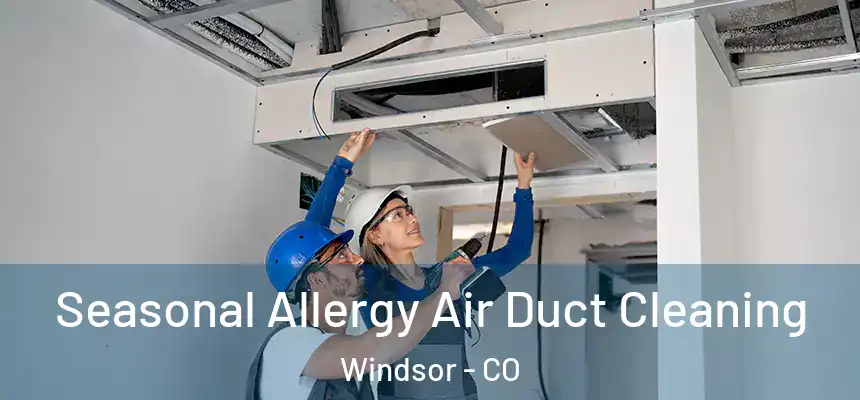  Seasonal Allergy Air Duct Cleaning Windsor - CO