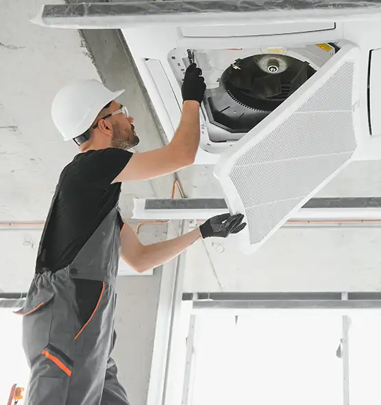 About Air Duct Rodent Removal in Windsor, CO