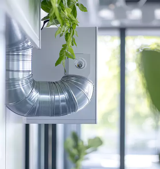 Professional Eco-Friendly Duct Cleaning Services in Windsor, CO