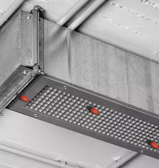 Affordable Insect Removal from Air Ducts in Windsor, CO
