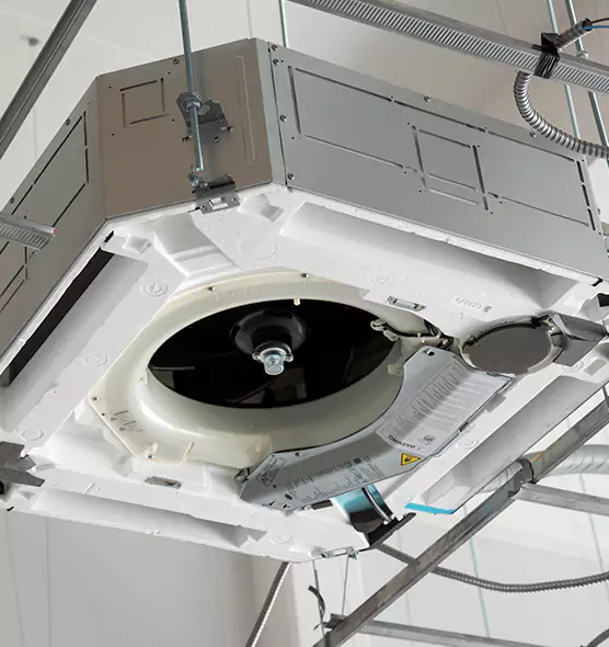 Professional Roof Vent Lint Removal Windsor, CO