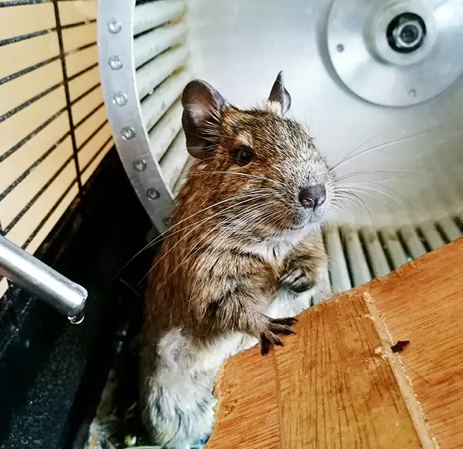 Why Homeowners & Businesses Trust Us Windsor, CO