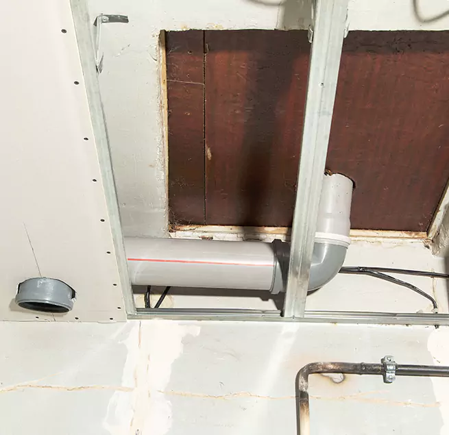 Why Homeowners & Businesses Trust Us in Windsor, CO?