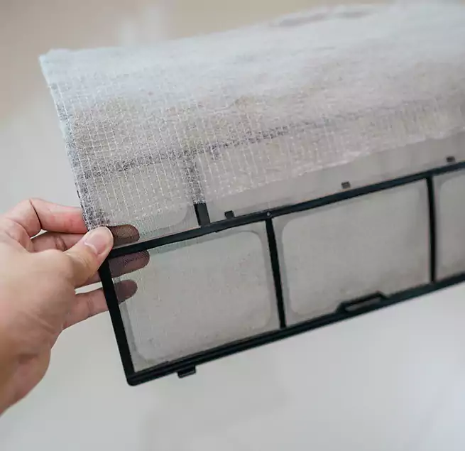 Why Homeowners & Businesses Trust Us in Windsor, CO?