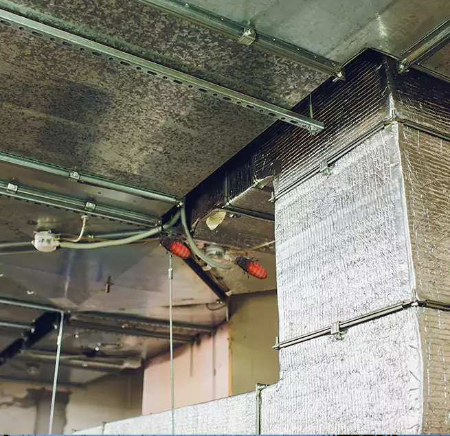 Why Homeowners & Businesses Trust Us Windsor, CO?