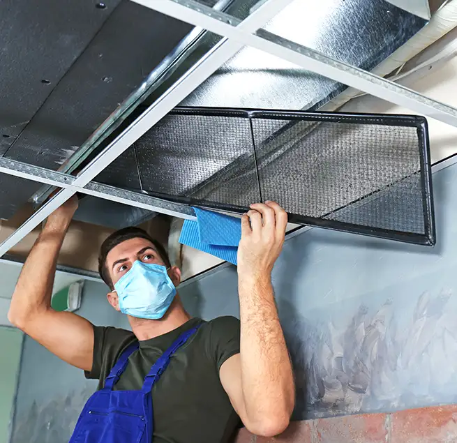 Why Homeowners & Businesses Trust Us in Windsor, CO?