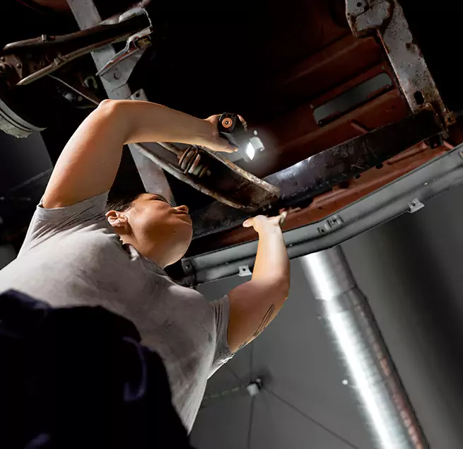 Why Homeowners & Businesses Trust Us Windsor, CO