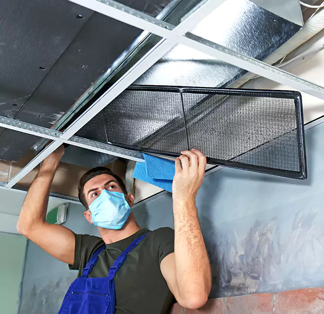  Why Homeowners Businesses Trust Us  in Windsor, CO?