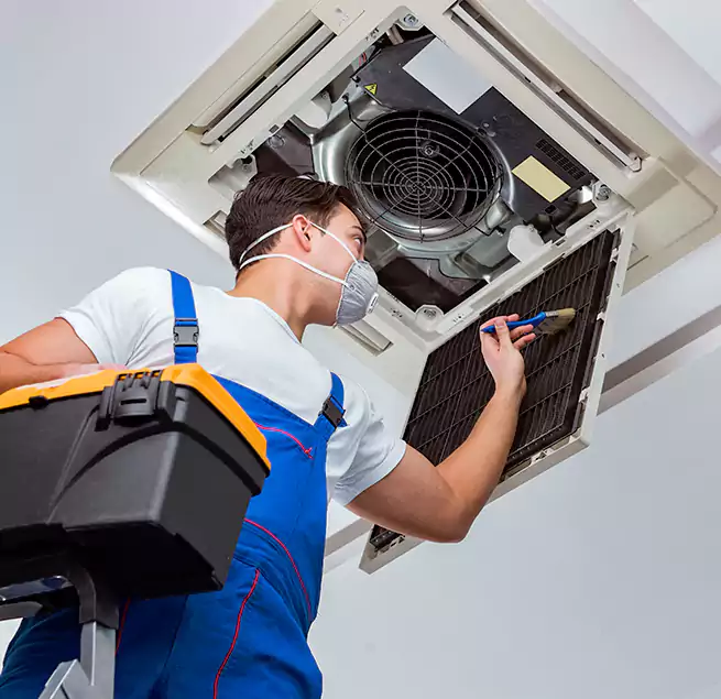 Why Homeowners & Businesses Trust Us in Windsor, CO?